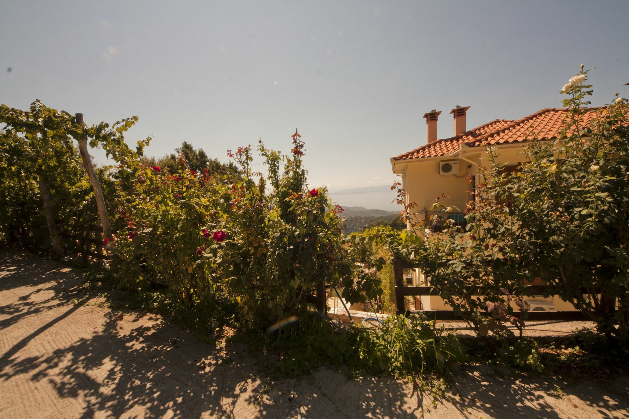 Rastoni Pelion Hotel Визица Екстериор снимка